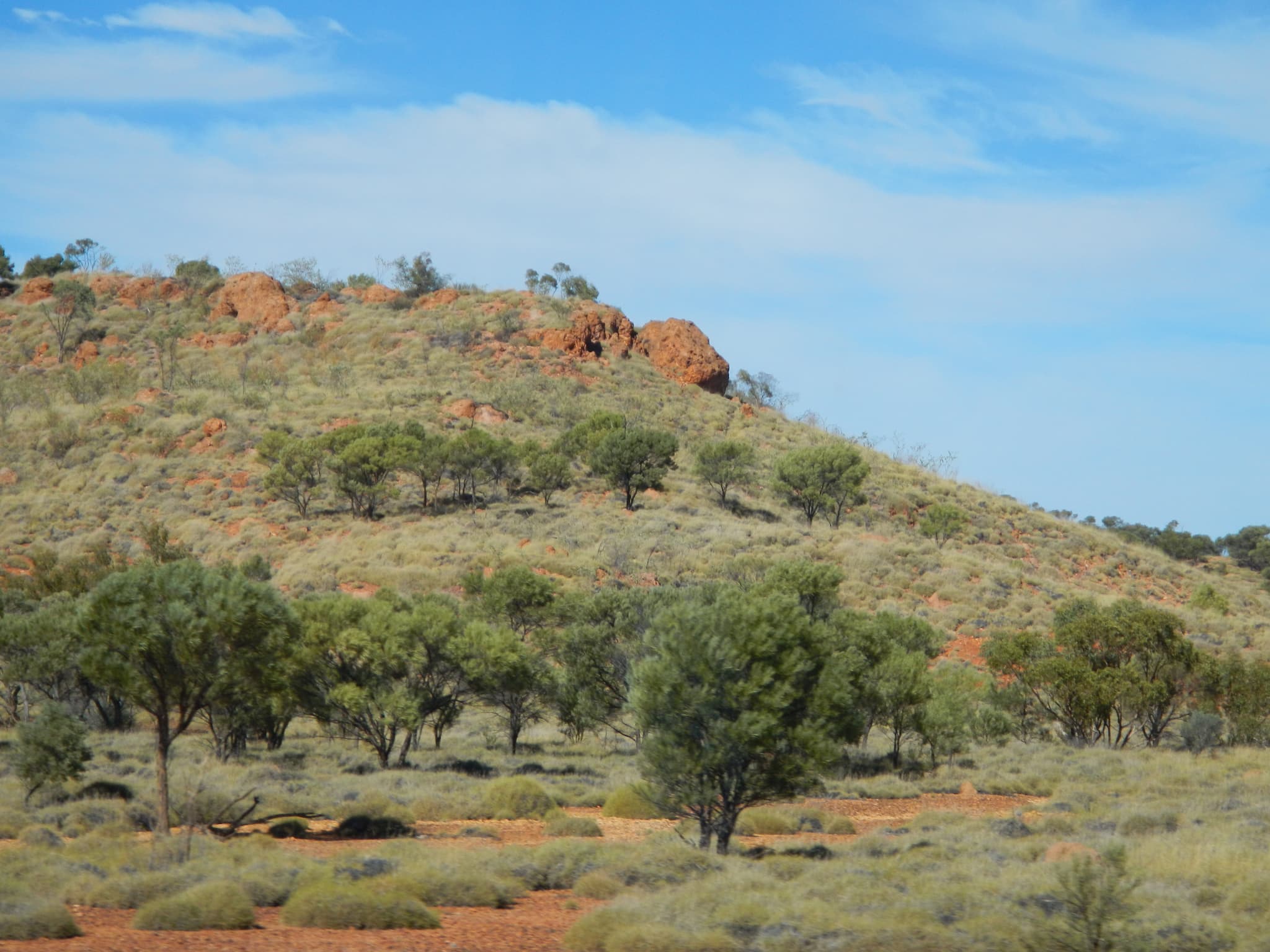Photograph of an Australian Outback Landscape taken in Middleton, Queensland.